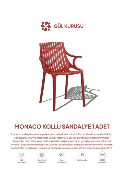 Daim Plastik MONAKO KOLLU LÜX CAFE & RESTAURANT SANDALYESİ