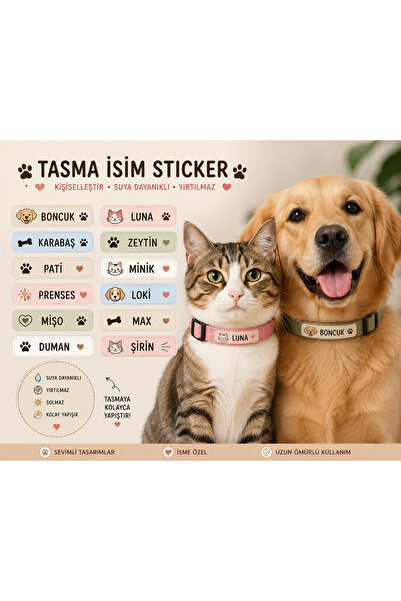 Eseran Print Kedi Köpek Tasma İsim Etiketi | Kişiye Özel Sticker | Suya Dayan...