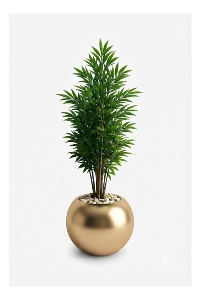 Generic Brand نبات النخيل الأنيق (Chamaedorea seifrizii) للديكور الداخلي في وعاء ذهبي فاخر دائري الشكل