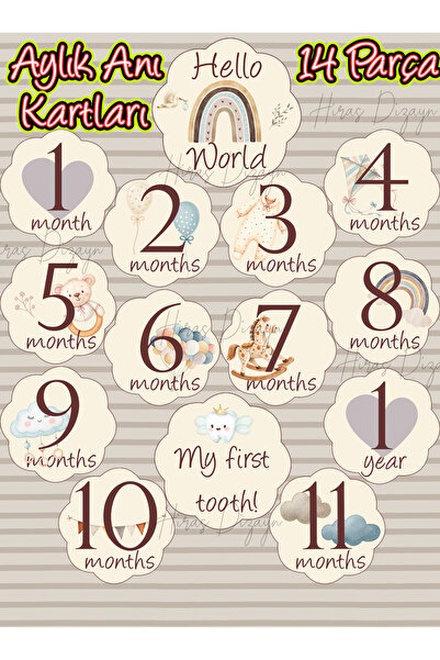 Hiras Dizayn Baby Memory Cards Set 14 Pieces Boho Monthly Photo Shoot Cards N...