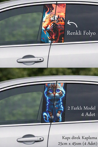 Automod A New Touch to Your Vehicle's Design Direct Coating Foil Printing