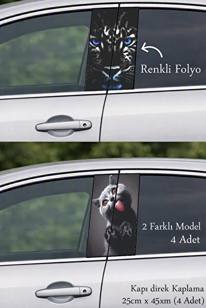 Automod Post-Coating Foil Printing That Supports Vehicle Appearance