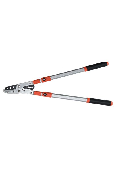 Strend Pro Foarfecă telescopică pentru pomi, mâner din aluminiu DD314, 650-10...