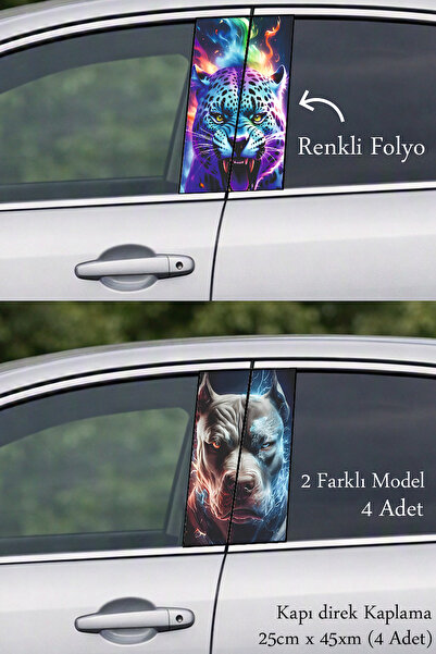 Automod A Special Style Direct Coating Foil Printing for Your Vehicle