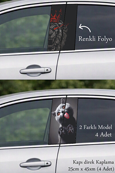Automod Post-Coating Foil Printing That Gives Your Vehicle an Impressive Touch