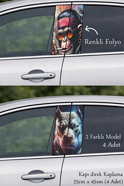 Automod Auto Door Trim Cover That Adds an Impressive Look to Your Vehicle