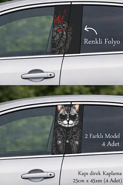 Automod Post-Coating Foil Printing That Gives Your Vehicle an Impressive Look