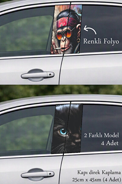 Automod Auto Door Trim Cover That Adds Different Style to Your Vehicle