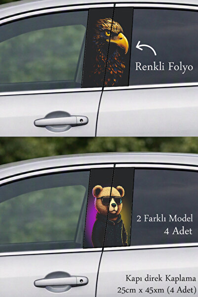 Automod Direct Coating Foil Printing That Adds a Stylish Design to Your Vehicle
