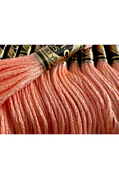 Dmc Ata pentru brodat Mouline Special DMC, jurubita 8m, 3824