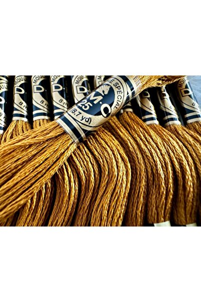 Dmc Embroidery thread Mouline Special DMC, 8m skein, 3829