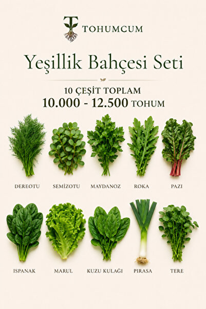 TOHUMCUM 10 Çeşit Yeşillik Tohumu Seti 10.000-12.500 Tohum | Dereotu, Semizot...