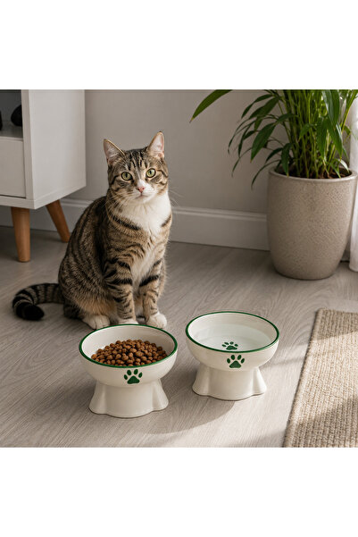 ARKHERA 2'Li Eğimli Yükseltilmiş Omurga Dostu Seramik Kedi Köpek Mama ve Su Kabı