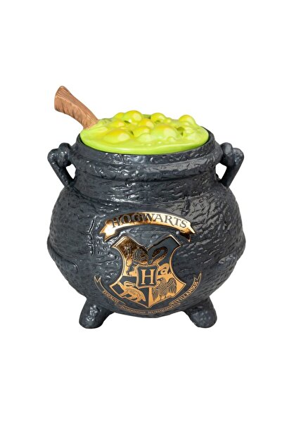 Erik Harry Potter Potions Cauldron Biscuit box