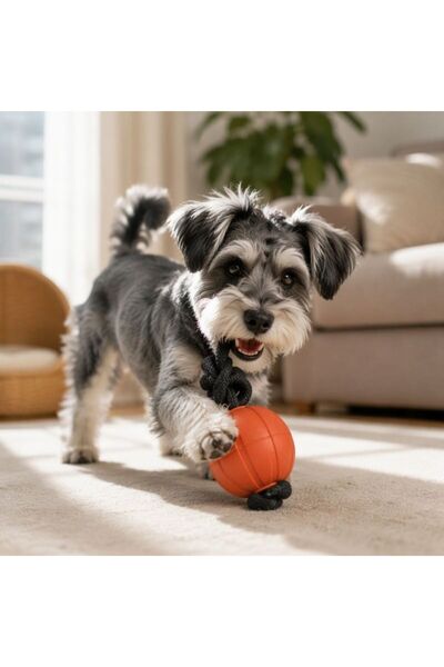 idei Floating dog toss ball 7 cm, rope toy total length 23 cm, bite-resistant...