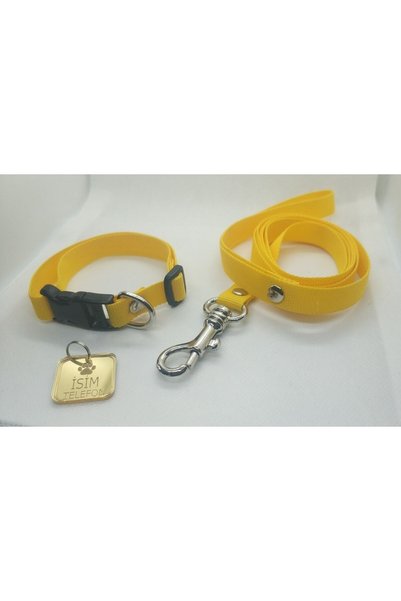 hebmeyy Kişiye Özel Yavru Köpek Ve Mini Irk Köpek Isimlik Boyun Tasması Ve Ge...