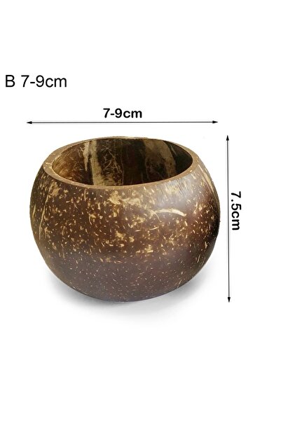 Choice1 B 7-9cm Coconut Shell Candle Bowls Natural Decorative Bowls Wood Cand...