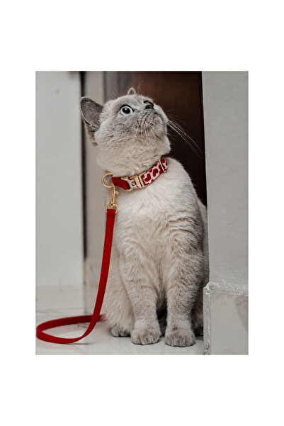 GoPawGo Charmlı Valentine Yumuşak ve Ayarlanabilir Kedi Boyun Tasması ve Gezd...