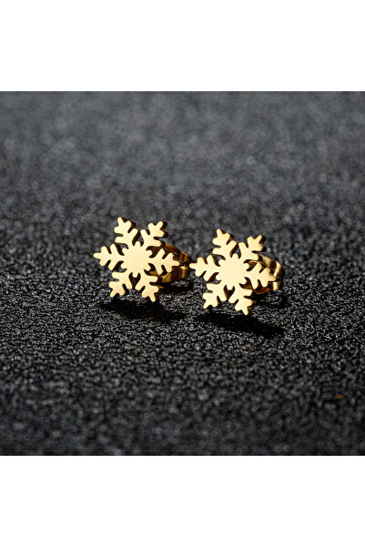 Choice GED142G 1 Pair Trendy Earings Jewelry Small Stainless Steel Snowflake ...