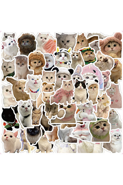 Choice 60PCS Cute Kittens Cats MEME Waterproof Stickers For Notebook Laptop H...