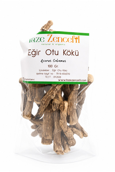 taze zencefil natural organic Eğir Otu Kökü