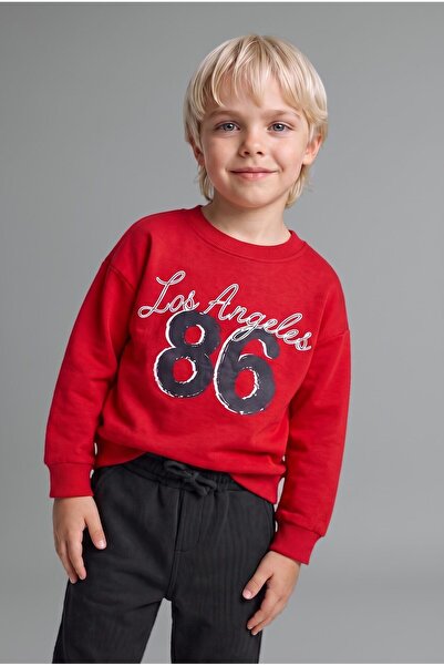 DeFacto 100% Cotton Crew Neck Printed Sweatshirt Baby Boy H8401A526Au