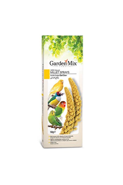 Gardenmix Platin Sarı Dal Darı