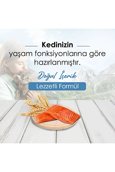 New Cat NewCat Somonlu Yetişkin Kedi Maması 15 Kg