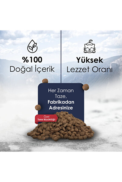 Gofrette Tavuklu Yetişkin Kedi Maması 10 Kg