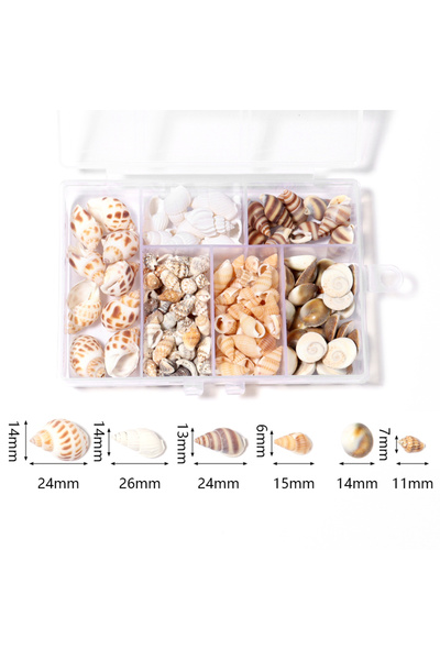 Choice Style20 (160pcs Box) 1 Box/Bag Sea Shells 466pcs Spiral Shell Beads Un...