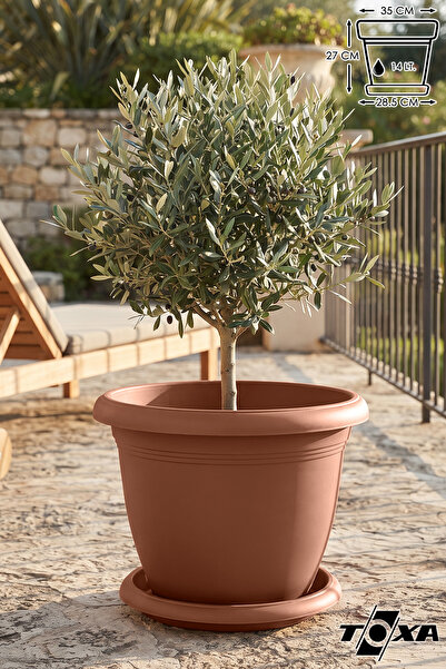 ToXA 14 Lt Ø36x25cm Tabaklı Yuvarlak Plastik Büyük Boy Villa Saksı No8 Mat Ki...