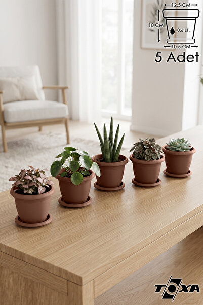 ToXA 5 Adet Villa No1 Saksı 0.6 Litre 12,5cm Küçük Boy Delikli Tabaklı Mat Pl...