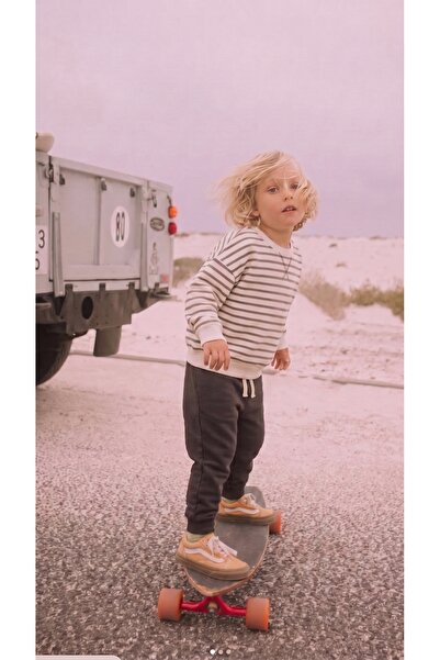Cigit Striped Sweatshirt Set 2-8 Years Old Mink Striped