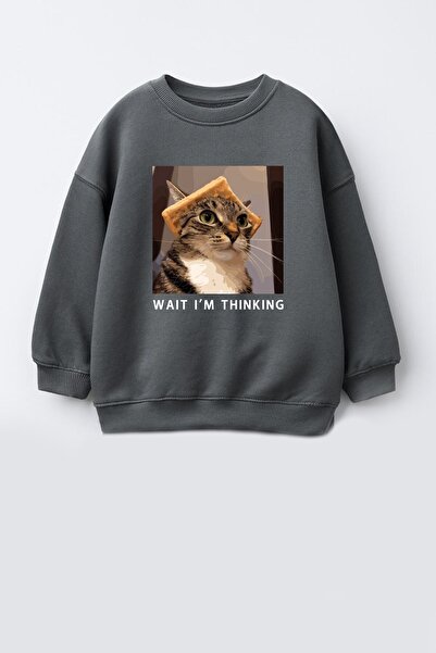 Monila Erkek Çocuk 3 İplik Kumaş Kedi Baskılı Pamuklu Sweatshirt
