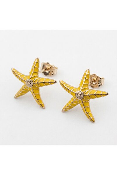 Siya Silver Starfish Steel Earrings