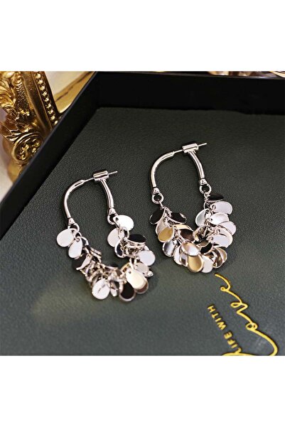 Choice Silver 2026 New Senior Luxury Delicate Long Tassels Drop Earrings Fash...