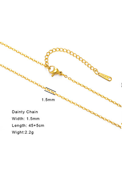 Choice31 45-50cm 6 Dainty Chain G Skyrim Stainless Steel Gold Color Chain Nec...