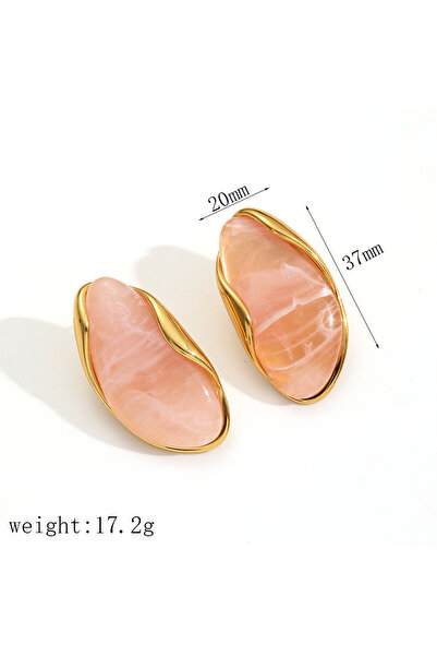 Choice1 TE60295-PK Hot Sales Brown Resin Geometric Shape Earrings Stainless S...