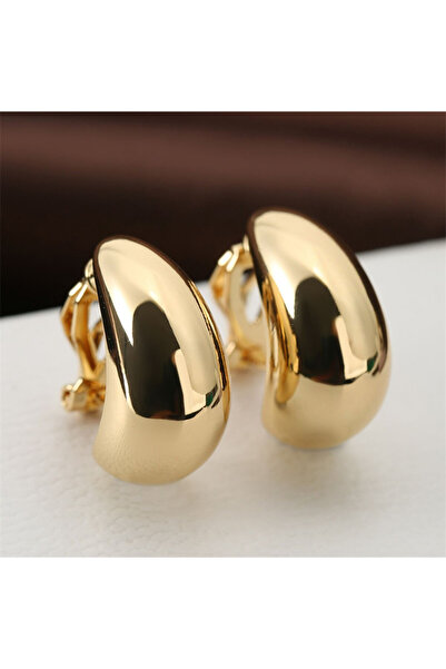 Choice Gold color European American Fashion New Earring French Light Luxury W...