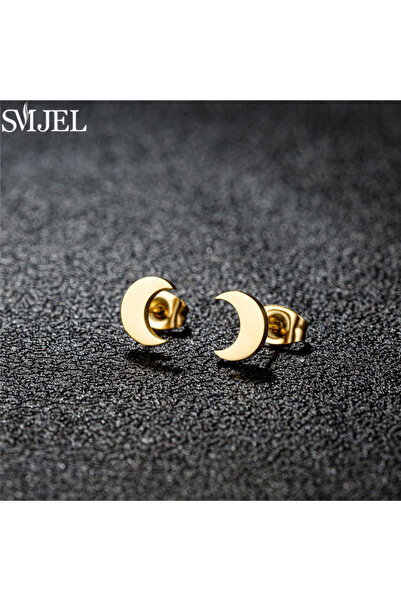 Choice GED002G Fashion Stainless Steel Earrings Small Star Moon Stud Earring ...