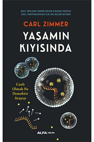 Alfa Yayınları Yaşamın Kıyısında