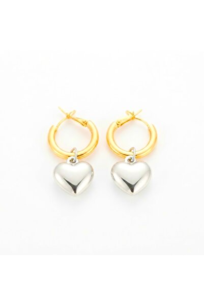 Siya Silver Double Color Curved Heart Earrings
