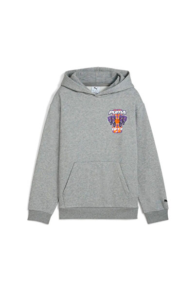 Puma Φούτερ με κουκούλα Basketball Hoopstellations FL B 688976-03 Γκρι