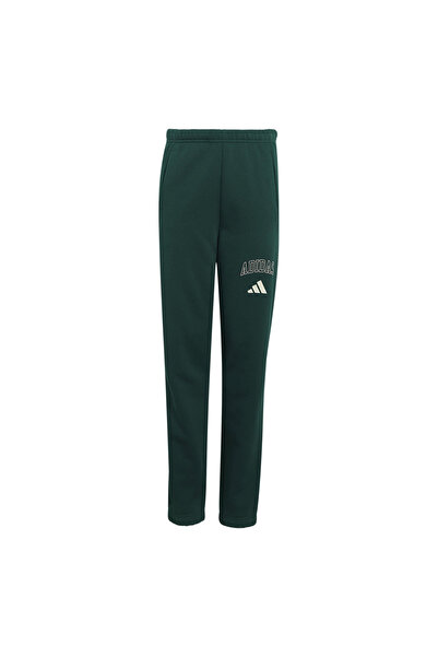 adidas Αθλητικά ρούχα J CLGT FL PNT KS5129 Πράσινο