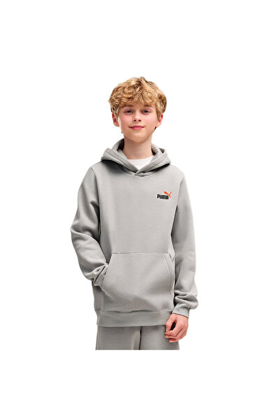 Puma ESS 2 ΧΡΩΜΑΤΑ ΜΙΚΡΟ ΑΡ. 1 Φούτερ με λογότυπο FL B 685825-63 Γκρι