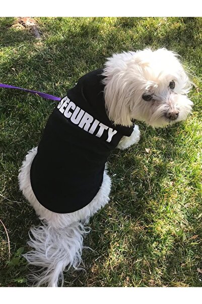 Choice XL black Security Clothing for Dogs Summer Pet Clothes Vest for Small ...