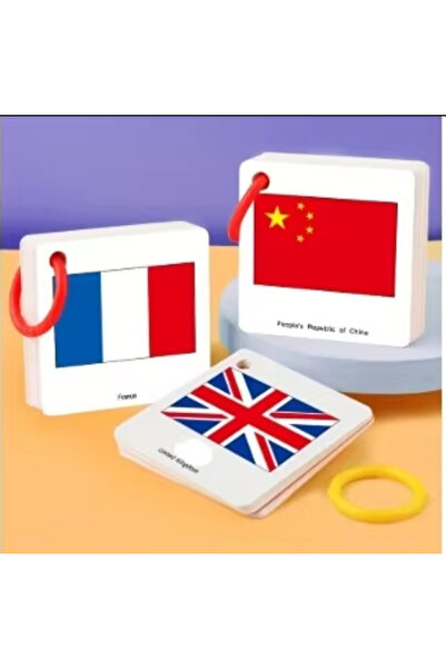 Choice1 national flag cards 120 World Flag Recognition Cards for Early Childh...