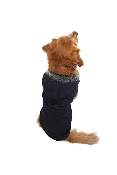 DOGİ&DOG Büyük Irk Laciver Puf Köpek Montu-köpek Yağmurluğu