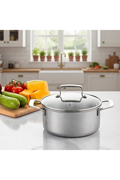 Emsan Pro Tri Ply Derin Tencere Çelik 20 cm