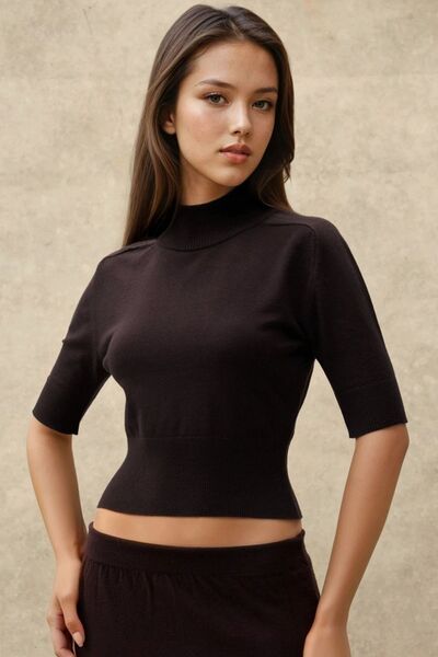 Hiccup Textured Turtleneck Short Sweater